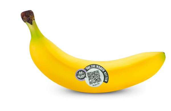 banaan-met-sticker-vrijstaand-nieuwe-versie-png1_