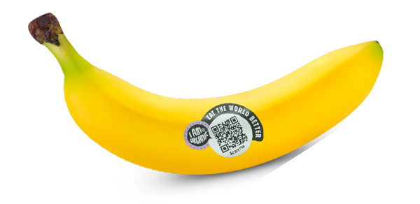 banaan-sustainbility-optie